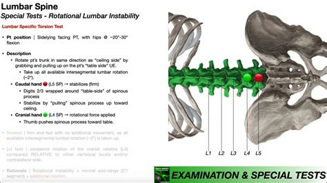 specific lumbar torsion test|test for torsion stress.